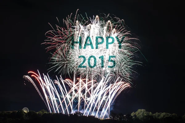 Feliz Ano Novo 2015 com fogos de artifício — Fotografia de Stock