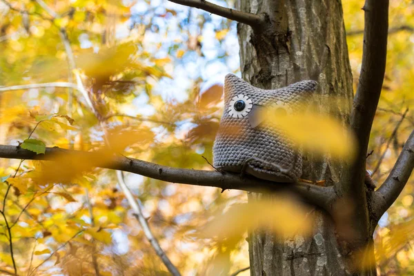 Plyšová hračka sova je umístěn v podzimním lese — Stock fotografie