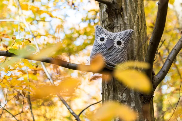 Soft toy owl is placed in autumn forest — Stock Photo, Image