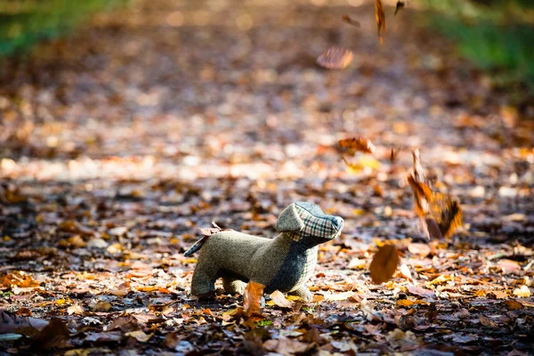 Plüschhund wird im Herbstwald platziert — Stockfoto