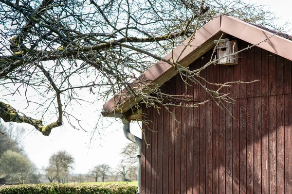 Allotment hut with garden in spring — Stock Photo, Image