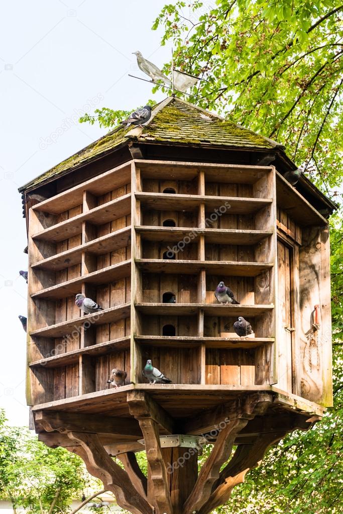 Wooden dovecote with several pigeons