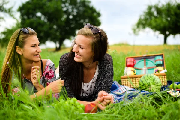 Beste Freunde beim Picknick — Stockfoto