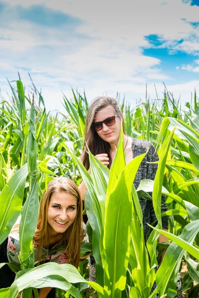 Zwei junge Mädchen, die sich in einem grünen Maisfeld verstecken — Stockfoto