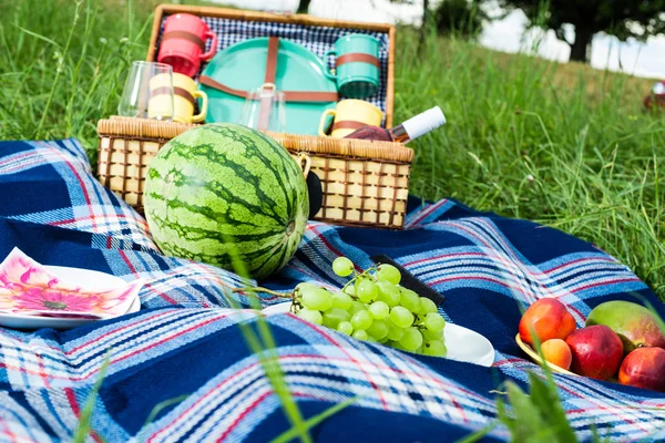 Picknickdecke und Korb — Stockfoto