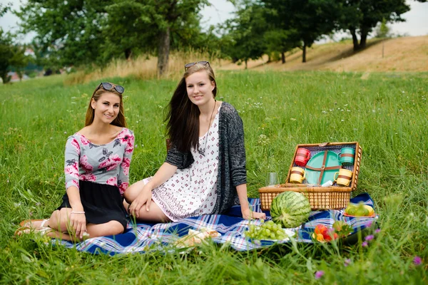 Mejores amigos haciendo un picnic — Foto de Stock