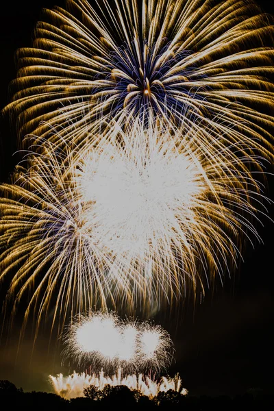 Large fireworks display — Stock Photo, Image