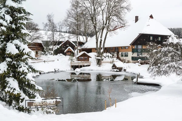 Typical black forest houses — Stock Photo, Image