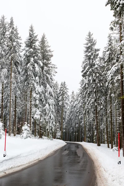 Camino húmedo de invierno —  Fotos de Stock