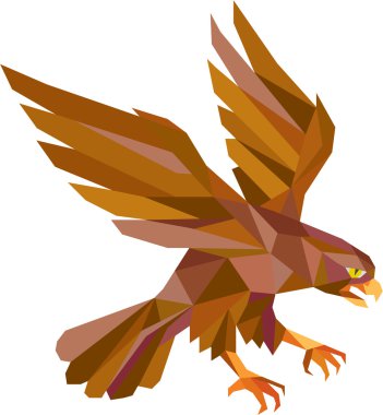 Peregrine Falcon Swooping düşük çokgen