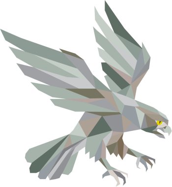 Peregrine Falcon gri düşük çokgen Swooping