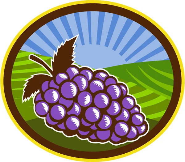 Uvas Viña Granja Oval Woodcut — Vector de stock