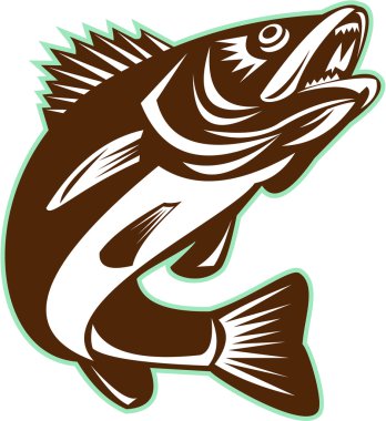 Walleye Fish Jumping Isolated Retro clipart