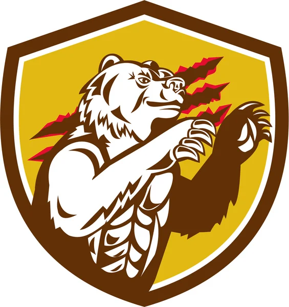 California Grizzly Bear Smirking Garra marcas Crest Retro — Vetor de Stock