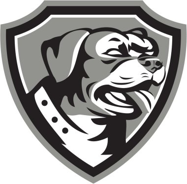 Rottweiler bekçi köpeği kalkan siyah ve beyaz