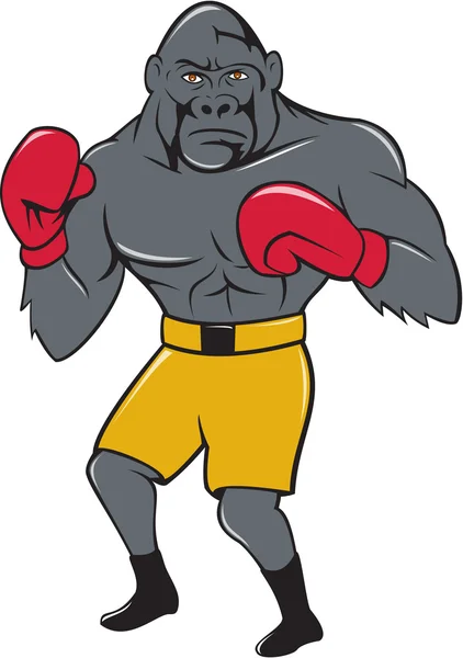 Gorilla Boxer boksz irányvonal rajzfilm — Stock Vector