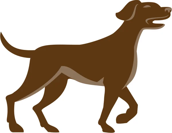 Pointeur anglais chien pointant vers le haut rétro — Image vectorielle