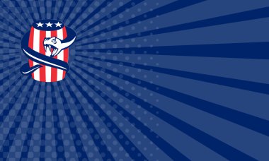 Kartvizit Viper hasas kadar fıçı ABD bayrağı Retro