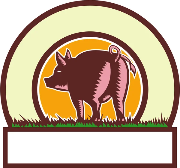 Cerchio posteriore coda di maiale Woodcut — Vettoriale Stock