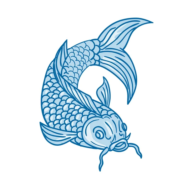 锦鲤 Nishikigoi 鲤鱼鱼潜水下绘图 — 图库矢量图片