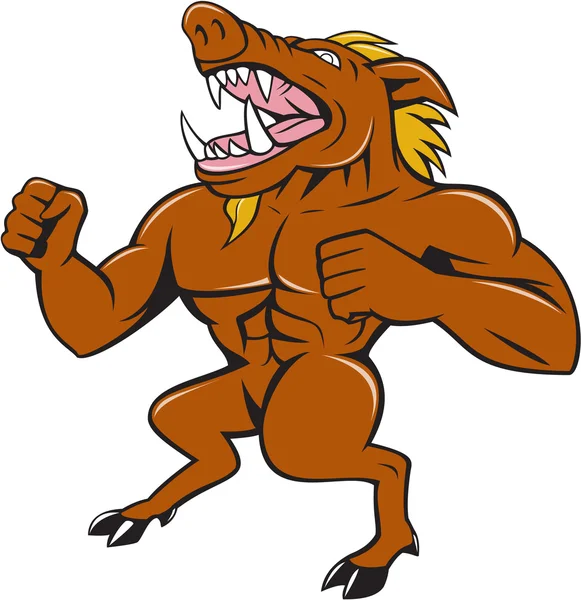 Wild Boar Man Roaring Pumping Chest Cartoon — Stock Vector