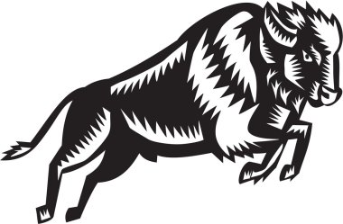 Amerikan bizonu atlama gravür Buffalo