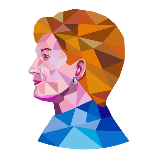 Hillary Clinton låg Polygon — Stock vektor