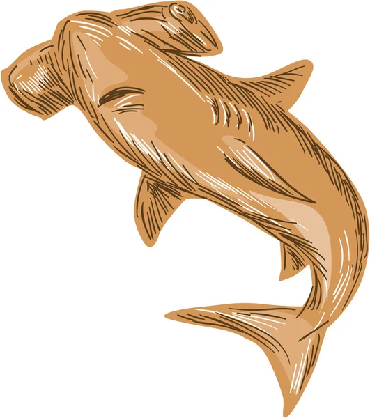 Hammerhead Shark Drawing — Stock Vector