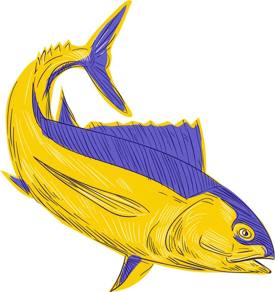 Tonno bianco Disegno di pesce — Vettoriale Stock