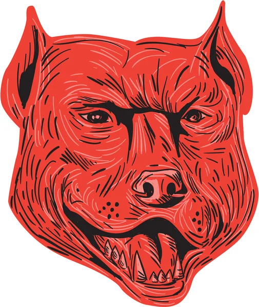 Pitbull pes kříženec hlavy kresba — Stockový vektor