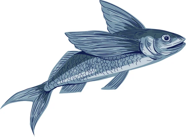 Disegno di pesce volante — Vettoriale Stock
