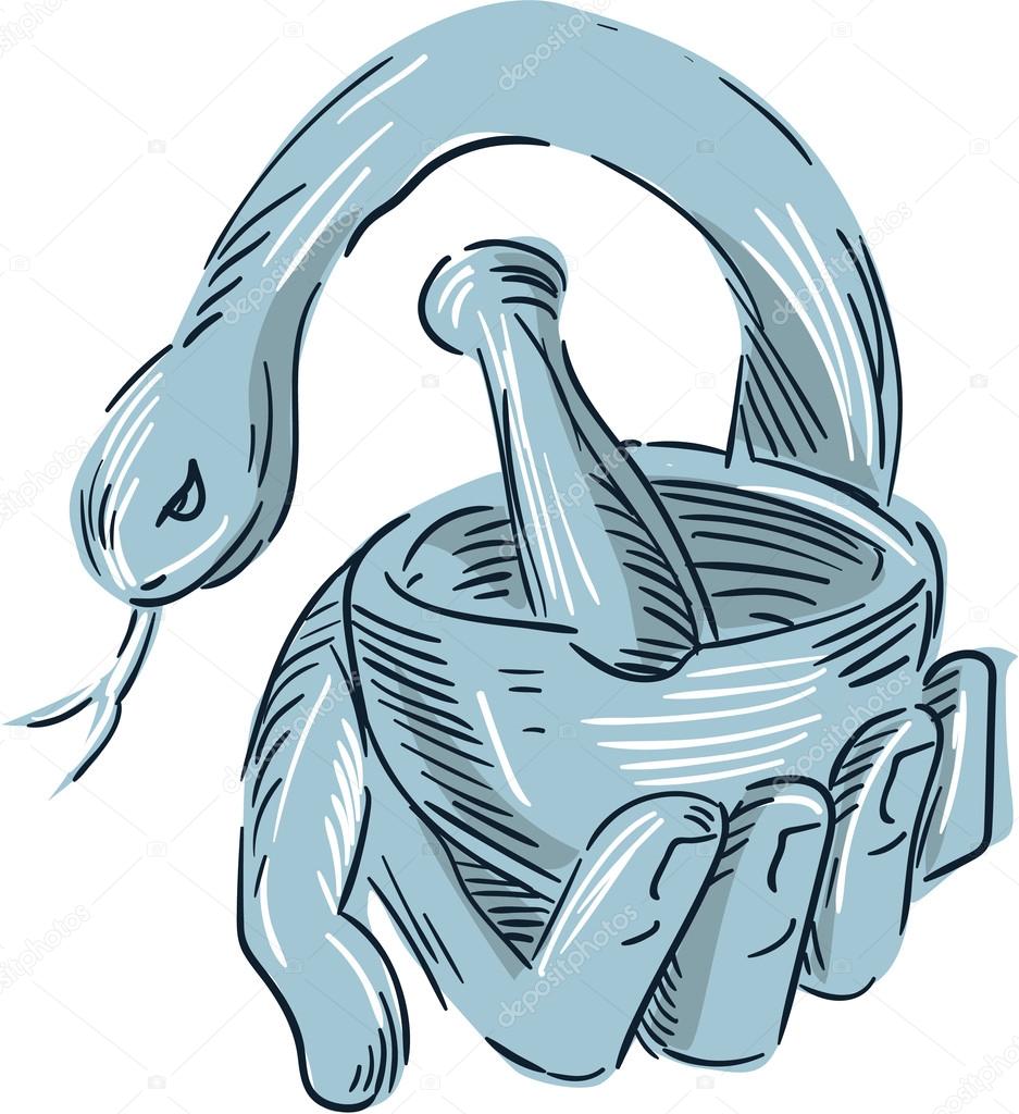 Hand Holding Mortar and Pestle Snake Drawing — Stock Vector ... for Mortar And Pestle Drawing
155sfw Hand Holding Mortar and Pestle Snake Drawing — Stock Vector ... for Mortar And Pestle Drawing
155sfw
