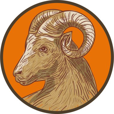 RAM keçi kafası daire çizimi