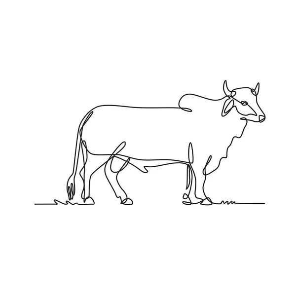 ブラフマン牛の連続線描図 スケッチや落書き黒と白のスタイルで行わ側面から見たゼブイン牛のアメリカの品種 — ストックベクタ