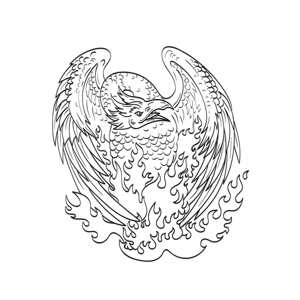 Phoenix Bird Rising Vector Art Stock Images ページ 4 Depositphotos