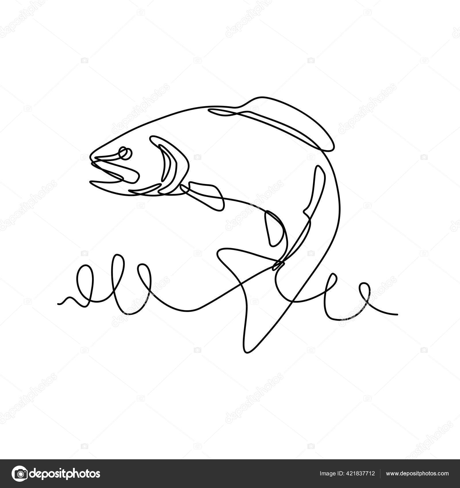Continuous Line Drawing Illustration Rainbow Trout Oncorhynchus