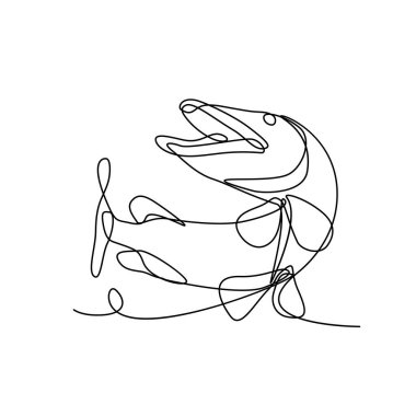 Miskellunge, Muskie, Misky, Esox maskuinonjisi ya da hamlesi gibi devamlı çizimler, Kuzey Amerika 'ya özgü, eskiz ya da karalama tarzında atlayan büyük bir tatlı su balığı türü.. 