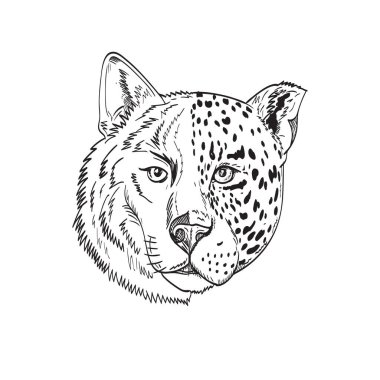 Yarım kereste kurdu ve yarı jaguar, panter ya da leoparın çizim stili çizimi siyah beyaz arka planda gösteriliyor..