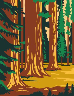 WPA poster art of the Sequoia National Park, an American national park in southern Sierra Nevada east of Visalia, California, United States in works project administration federal art project style. clipart