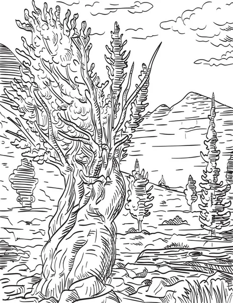 位于内华达州中东部白松县的大盆地国家公园中的普罗米修斯树和惠勒峰的复古木刻风格图片说明 背景是黑白隔离的 — 图库矢量图片