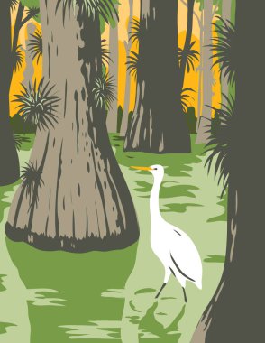 WPA 'nın, Everglades Ulusal Parkı' nın poster sanatı, Florida 'da bir Amerikan milli parkı. Mangrov bataklığında balıkçıl ve selvi ağaçları proje yönetimi veya federal sanat projesi tarzında yapılır..