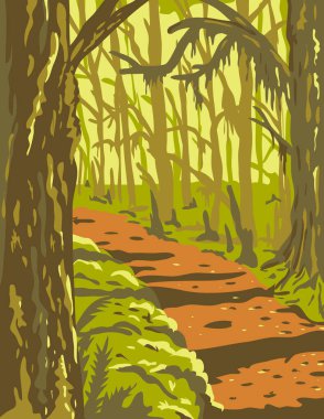 WPA poster art of the Hoh Rainforest in Olympic National Park, Washington state, the largest temperate rainforests in the United States in works project administration federal art project style. clipart
