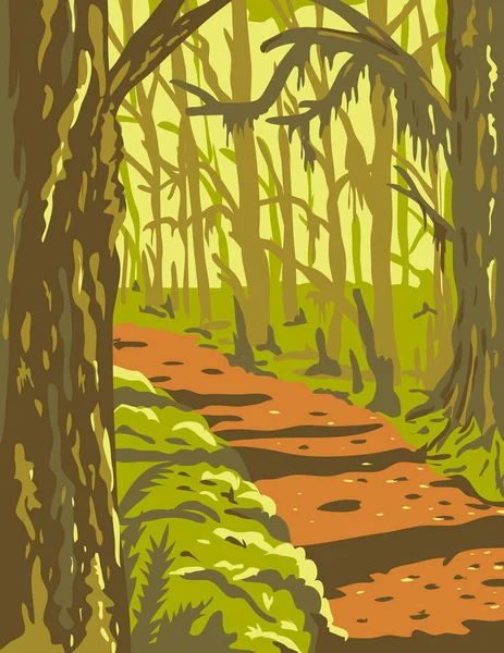 Seni Poster Wpa Dari Hutan Hujan Hoh Olympic National Park Stok Ilustrasi 