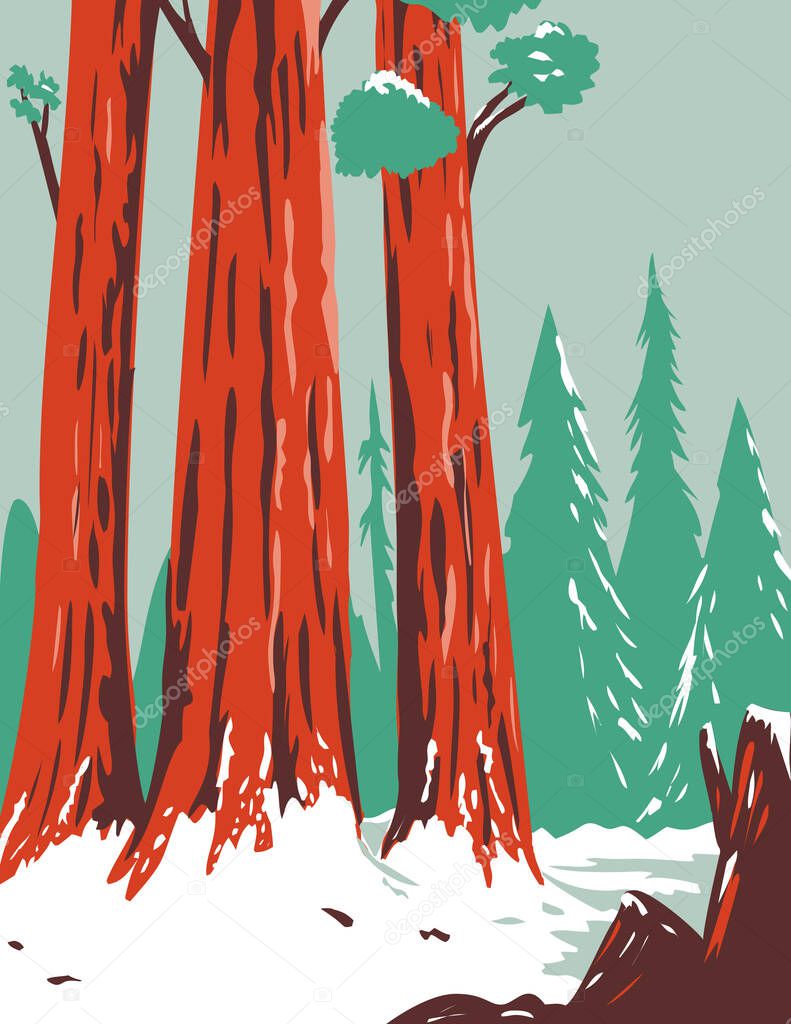 WPA poster art of Redwood National and State Park during winter with coastal redwoods located northern California, United States done in works project administration or federal art project style.