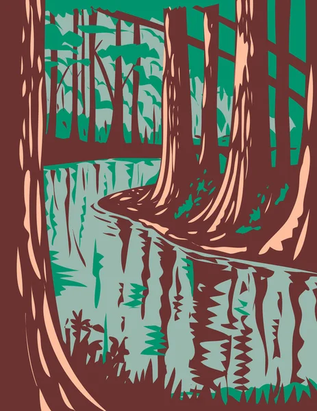 Wpa Poster Art Cedar Creek Blackwater Stream Runs Congaree National — Vetor de Stock