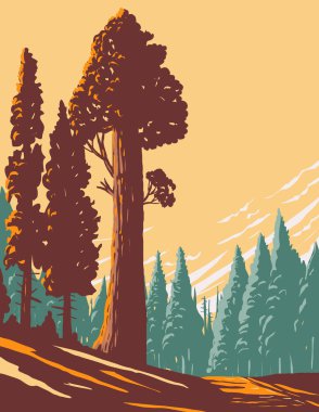 WPA poster art of the General Grant tree trail with the largest giant sequoia in the General Grant Grove section of Kings Canyon National Park in California done in works project administration style. clipart