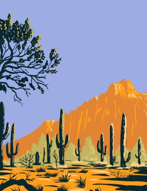 Ironwood Ormanı Ulusal Anıtı 'ndaki saguaro kaktüsü ya da Carnegiea dev çayının poster sanatı Arizona' daki Sonor Çölü 'nün dağlık bir bölümü proje yönetimi tarzında yapılmıştır..
