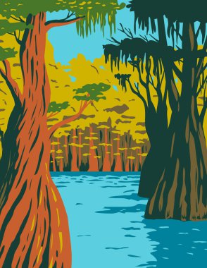 Florida Panhandle 'da bulunan Apalachicola Ulusal Ormanı' ndaki Baykuş Deresi 'nin bataklığında büyüyen kel selvi ağacının WPA poster sanatı proje yönetimi tarzında veya federal sanat projesi tarzında.