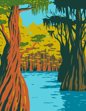 WPA poster art of bald cypress growing in the swamp of Owl Creek in Apalachicola National Forest located in the Florida Panhandle in works project administration style or federal art project style. clipart