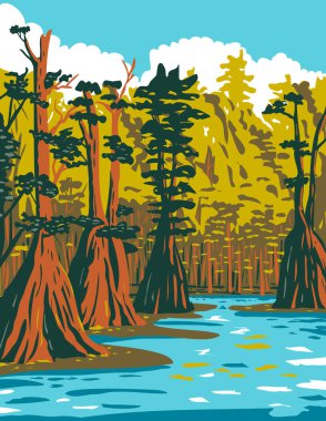 Florida Panhandle 'da yer alan Apalachicola Ulusal Ormanı' nın güneyindeki bataklıkta büyüyen balçık ağacının WPA poster sanatı proje yönetimi tarzında veya federal sanat projesi tarzında.